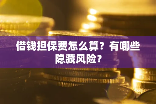武汉借钱担保费怎么算？有哪些隐藏风险？