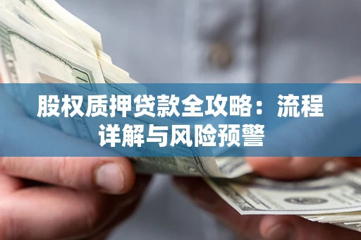武汉股权质押贷款全攻略：流程详解与风险预警
