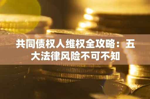 武汉共同债权人维权全攻略：五大法律风险不可不知
