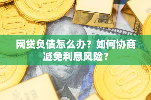 武汉网贷负债怎么办？如何协商减免利息风险？