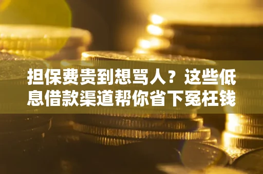 武汉担保费贵到想骂人？这些低息借款渠道帮你省下冤枉钱