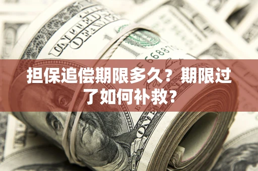 武汉担保追偿期限多久？期限过了如何补救？
