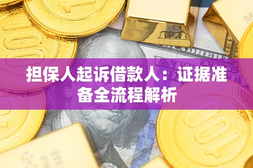 武汉担保人起诉借款人：证据准备全流程解析