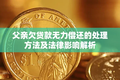 武汉父亲欠贷款无力偿还的处理方法及法律影响解析