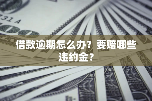 武汉借款逾期怎么办？要赔哪些违约金？