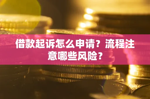 武汉借款起诉怎么申请？流程注意哪些风险？