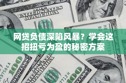 武汉网贷负债深陷风暴？学会这招扭亏为盈的秘密方案