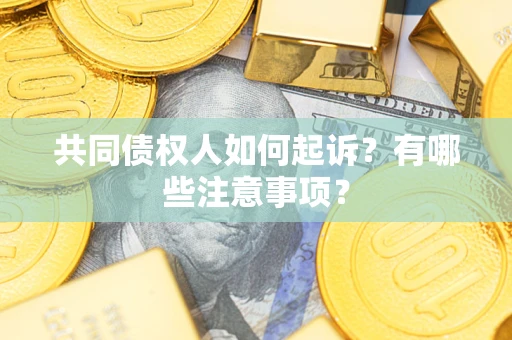 武汉共同债权人如何起诉？有哪些注意事项？