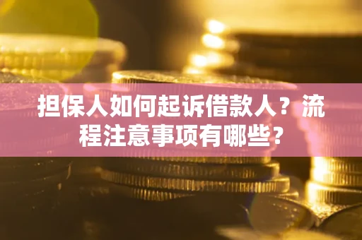 武汉担保人如何起诉借款人？流程注意事项有哪些？